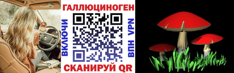 Псилоцибиновые грибы ЛСД  где продают наркотики  Нея 